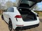 Audi RSQ8 4.0 TFSI V8 Vorsprung Tiptronic quattro